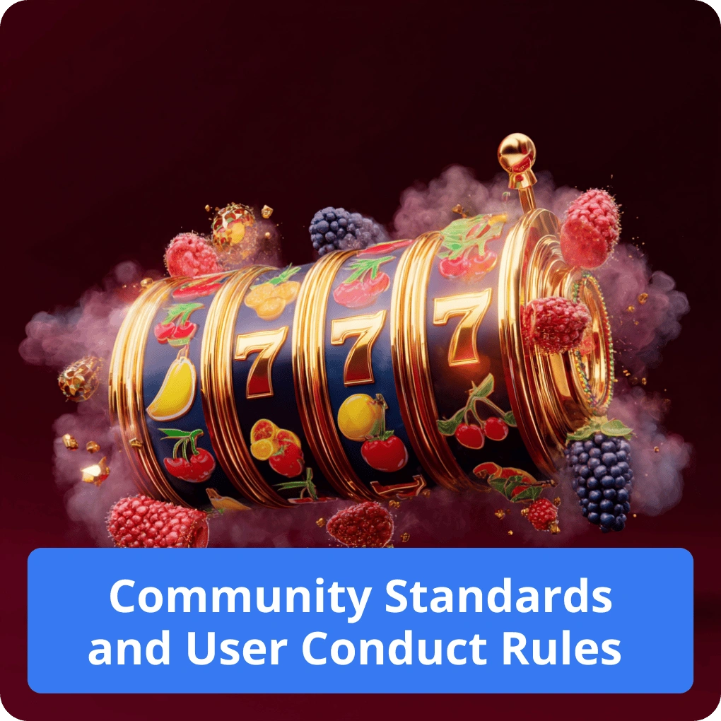 Community Standards and User Conduct Rules
